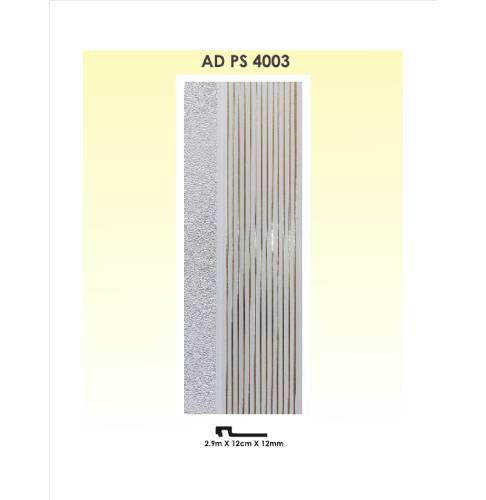 AD PS 4003
